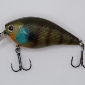 Bluegill