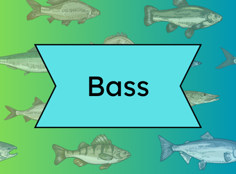 bass button on a fish background
